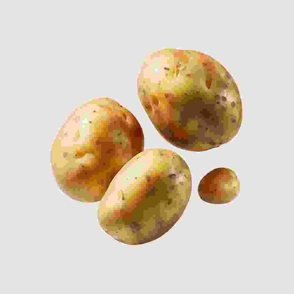 Shop Secondary Image