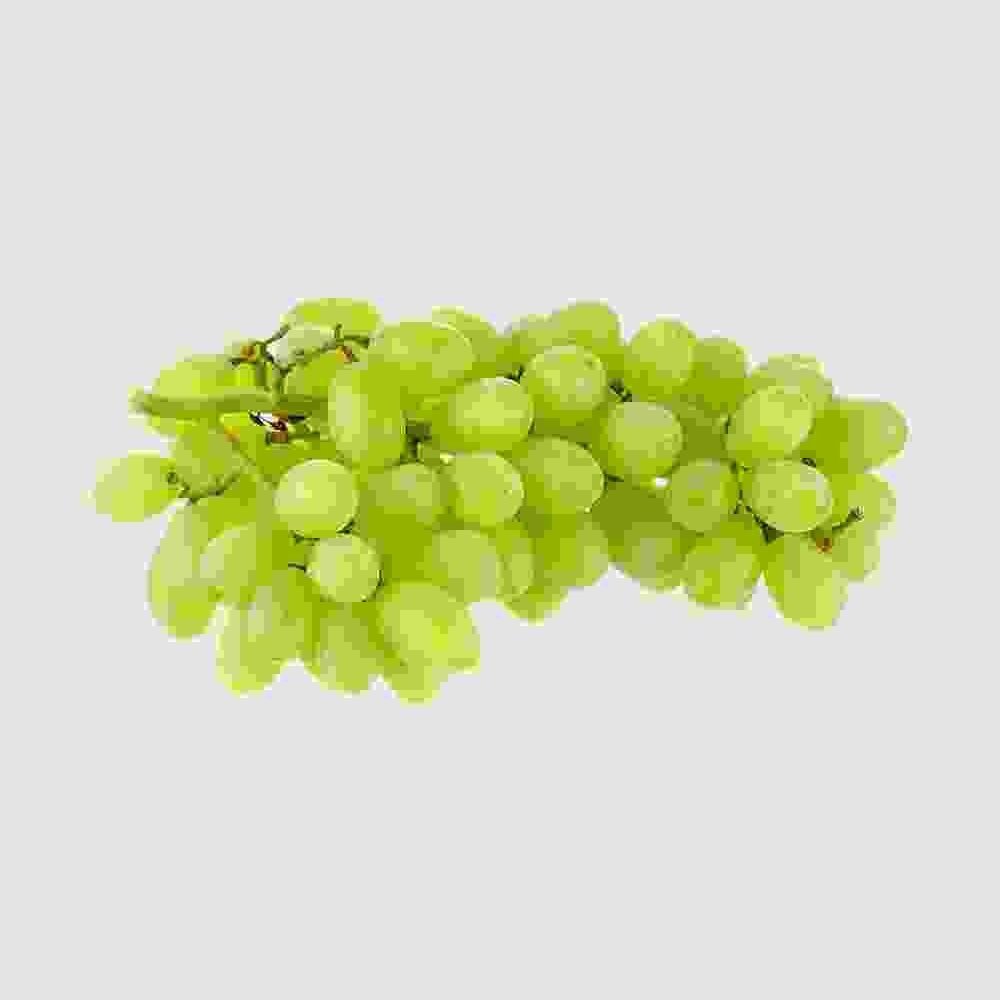 Shop Secondary Image